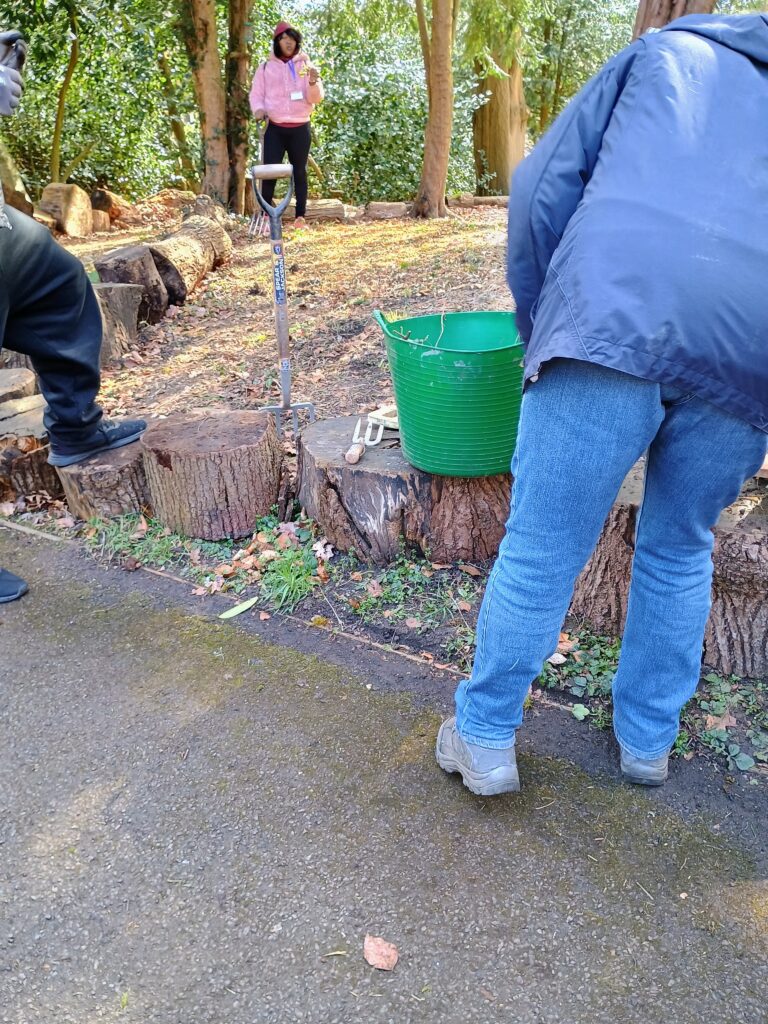 Team working together on a planting area