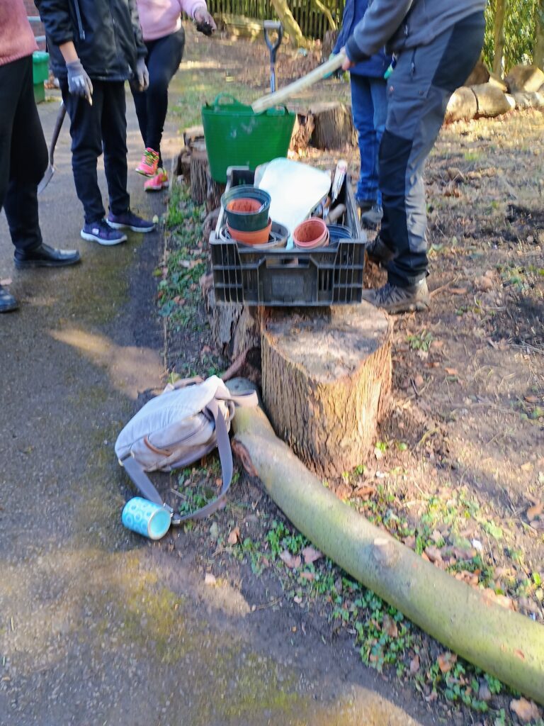 Volunteers working together on a practical project at Bee in the Borough
