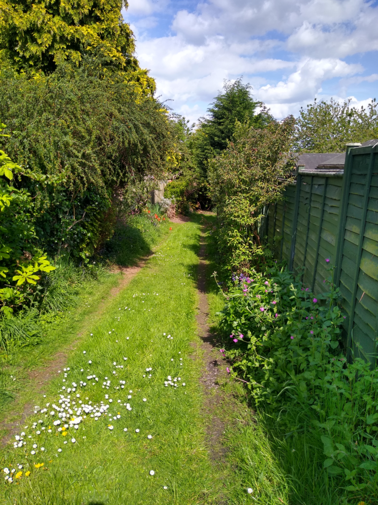 Grassy track leading through the Bee in the Borough woodland site